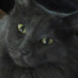 Meet your Posher, Annette